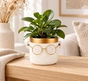 Blumentopf Harry mit Gesicht und Brille Gold, Gold, Ø 10 cm, H 10 cm – dekoriert im Wohnraum