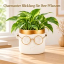 Blumentopf Harry mit Gesicht und Brille Gold, Gold, Ø 12 cm, H 11.5 cm – im Einsatz
