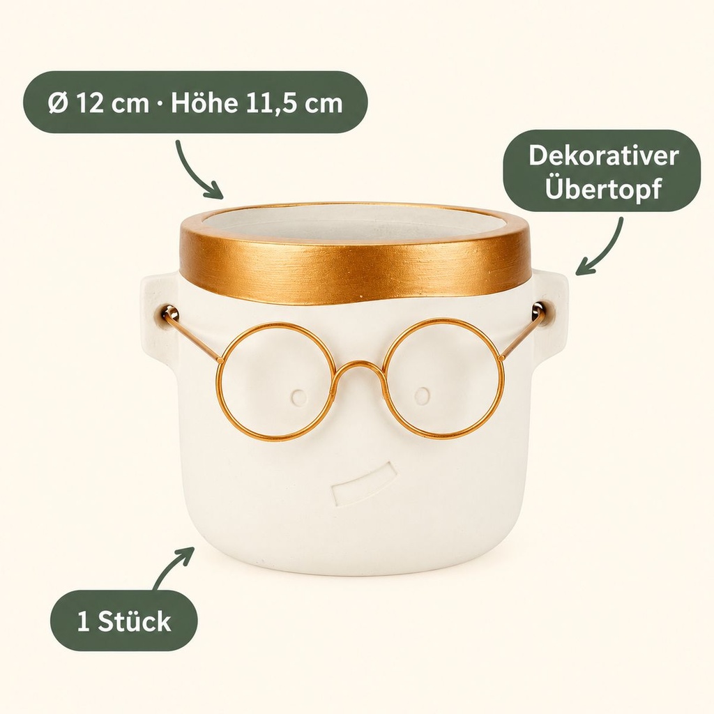 Blumentopf Harry mit Gesicht und Brille Gold, Gold, Ø 12 cm, H 11.5 cm – Eigenschaften im Überblick
