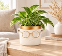 Blumentopf Harry mit Gesicht und Brille Gold, Gold, Ø 12 cm, H 11.5 cm – dekoriert im Wohnraum