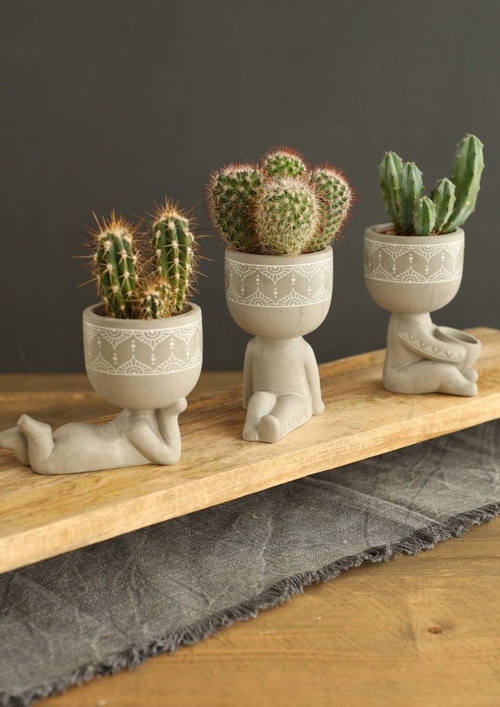 5789-Blumentof---Lazy----Hoehe-von-12-5cm--in-vielen-Modellen-zur-Auswahl---Fauler-Blumentopf---Moderner-Pflanzentopf---Keramik-Topf---Blumen-Top-fuer-Kakteen---Blumentopf-fuer-Sukkulen_22.jpg