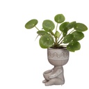 5789-Blumentof---Lazy----Hoehe-von-12-5cm--in-vielen-Modellen-zur-Auswahl---Fauler-Blumentopf_1.jpg