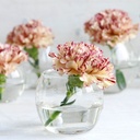Kugelglas im Durchmesser 6, 8, 10 und 12 cm wählbar | Kugelvase