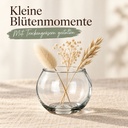 Kugelglas, Klar, Ø 6.7 cm, H 5.3 cm – im Einsatz