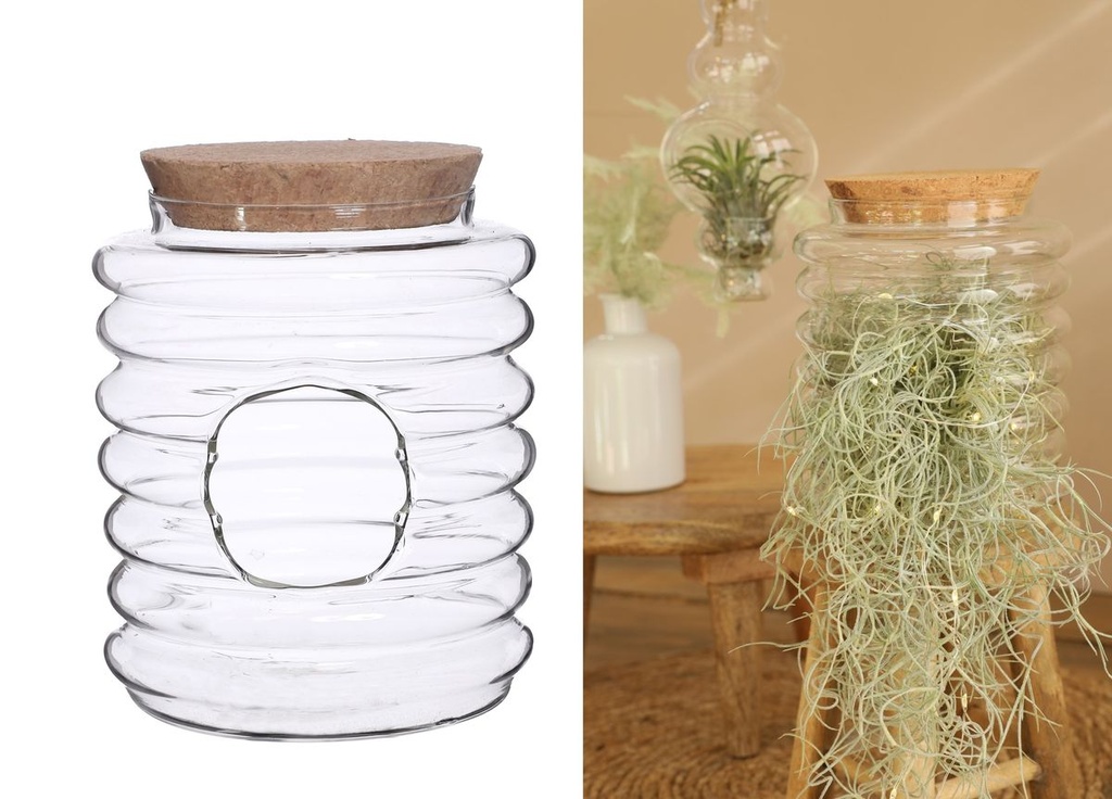 5792-Glas-Terrarium-mit-Korken--waehlbar-in-zwei-Groessen---Flaschengarten---Pflanzenterrarium---Glasvase---Pflanzenglas---Glas-Terrarium---Dekovase---Dekoglas-mit-Korken---Glasdeko_9.jpg