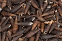5795-Faunus-ater----Laenge-ca--3-6--cm--verpackt-im-Beutel-mit-500g--ca--150-Stueck----Teufelsdornschnecke_1.jpg