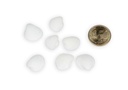 5797-Anadara-esephaca--0-5kg--ca--1-5cm--ca--600-700-Stueck---Kleine-Herzmuschel---Muscheln-zum-Basteln-und-Dekorieren---Ideal-als-Streudeko-fuer-eine-maritime-Tischdekoration---Bastelmu_3.jpg