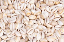 5801-Cypraea-annulus--Cooked---0-5kg--ca--2cm--ca--600-700-Stueck----Ringkauri---Schneckenhaus---Muscheln-und-Schnecken-zum-Basteln-und-Dekorieren---Meeresschnecke---Maritime-Dekoration_2.jpg
