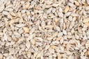 5805-Pyrene-philippinarum--mini-Muscheln-und-Schnecken-zum-Basteln-und-Dekorieren_2.jpg