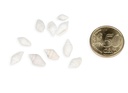 5806-Pyrene-philippinarum----Cooked---0-5kg--ca--1-1-5cm--ca----1000-Stueck---Mini-Schneckenhaus---mini-Muscheln-und-Schnecken-zum-Basteln-und-Dekorieren---kleine-Schneckenhaeuser---Mari_3.jpg