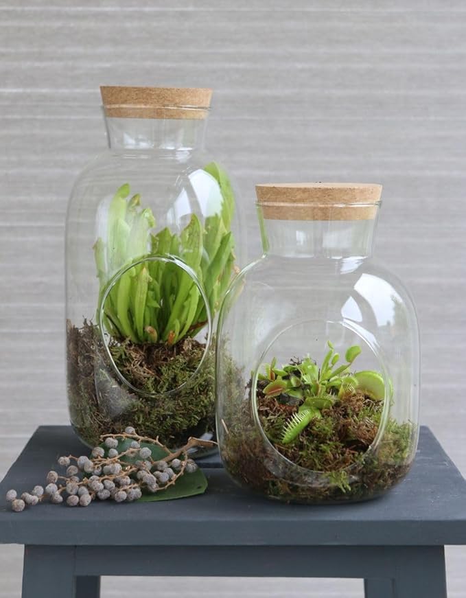5831-Zylinder-Flasche-mit-Korken-Hoehe-18cm---12-cm---Pflanzenterrarium-_1.jpg