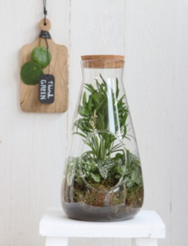 5832-Zylinder-Vase-mit-Korken-in-zwei-Groessen-waehlbar---Pflanzenterrarium_17.jpg