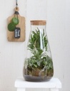 5832-Zylinder-Vase-mit-Korken-in-zwei-Groessen-waehlbar---Pflanzenterrarium_17.jpg