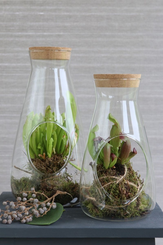 5832-Zylinder-Vase-mit-Korken-in-zwei-Groessen-waehlbar---Pflanzenterrarium_18.jpg