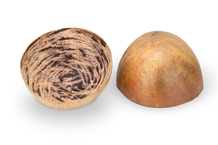 Ballon-Frucht, halbiert, Maße ca. 18x12c 2