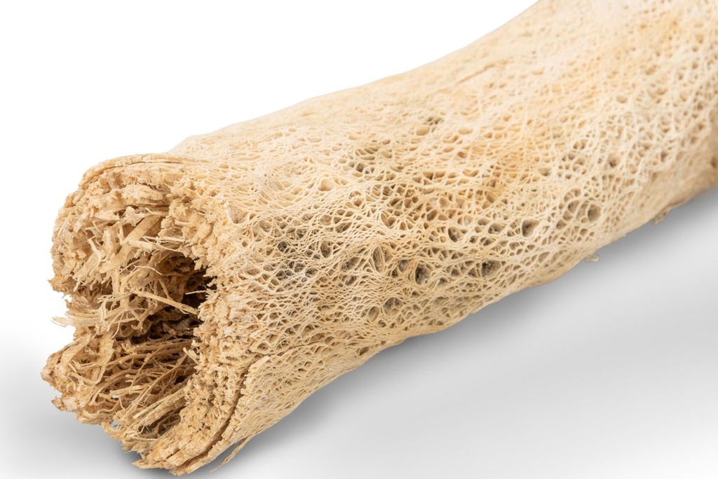 5839-Kaktuswurzel-Natur--Laenge-ca--50-70-cm---Vuka-Holz-Gross_1.jpg