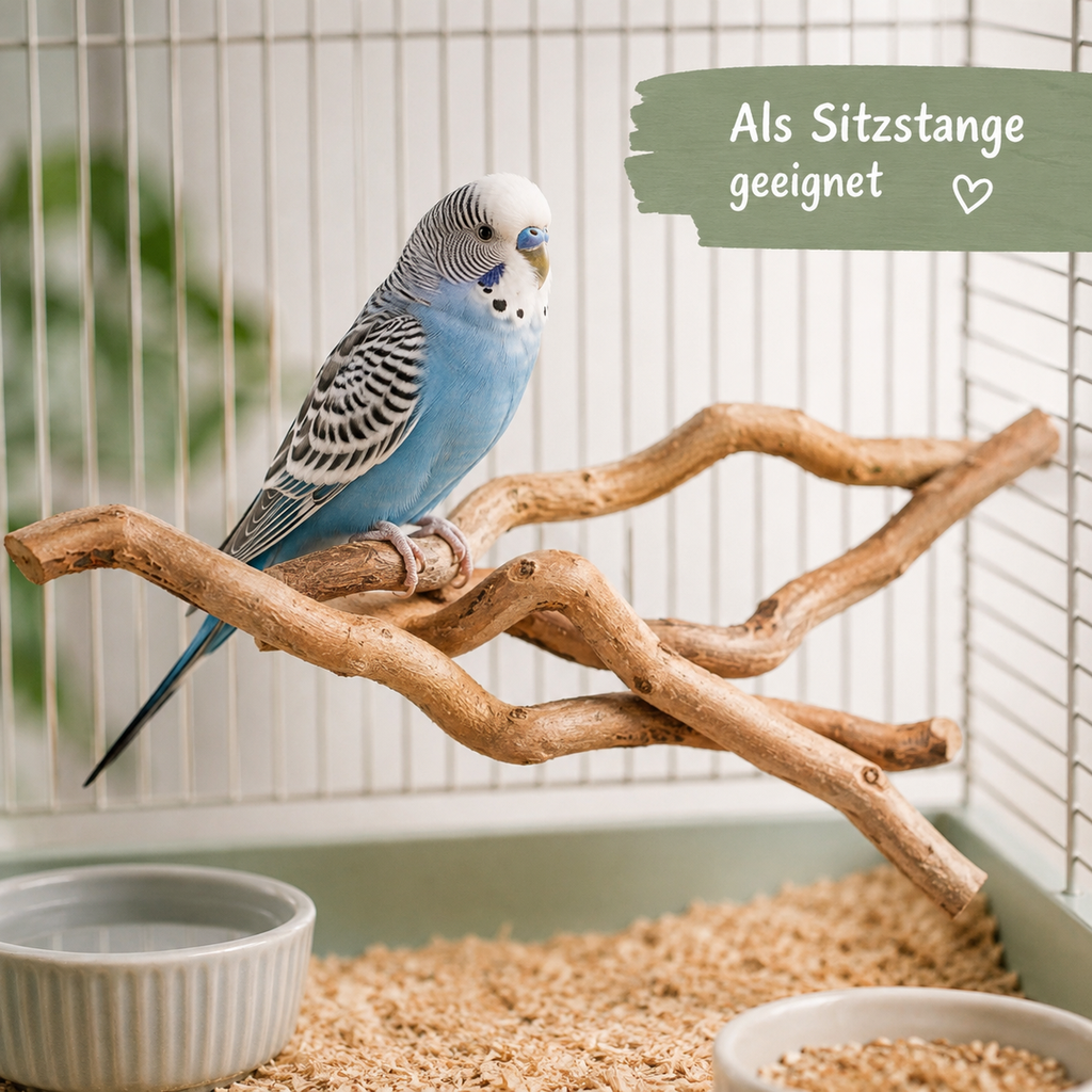 5841-Korkenzieherzweige-5-Stk--20-30-cm-Dekoast-Haselzweige-Natur-Vogel-Terrarium_4.png
