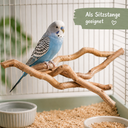 5841-Korkenzieherzweige-5-Stk--20-30-cm-Dekoast-Haselzweige-Natur-Vogel-Terrarium_4.png