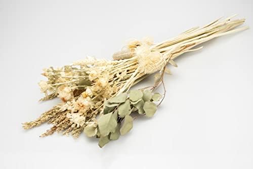 Trockenblumen-Strauß "Karat", Größe ca.  2