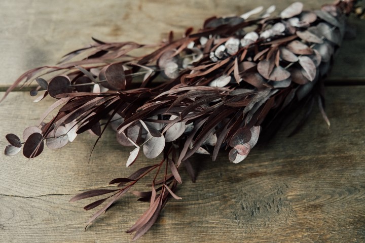 Eucalyptus-Mix, konserviert, in Rot, im  2