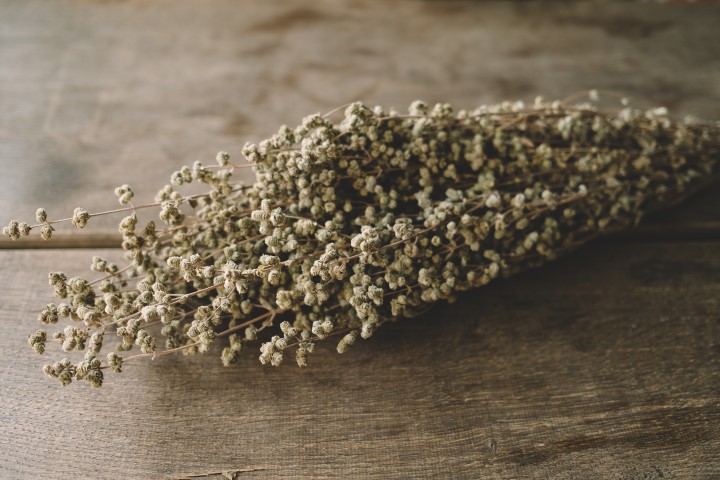 Oregano getrocknet im Bund ca. 50 cm 2