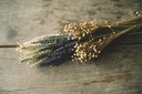 Trockenblumen-Strauß "Deluxe", Länge ca. 2