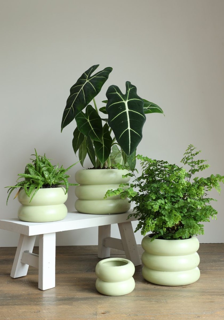 5880-Skandinavischer-Blumentopf-Chubby---Moderner-Blumenuebertopf---Keramik-uebertopf---Pflanzentoepfe---Bubble-Blumentopf---Bubble-Vase---Pflanzgefaess_18.jpg
