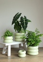 5880-Skandinavischer-Blumentopf-Chubby---Moderner-Blumenuebertopf---Keramik-uebertopf---Pflanzentoepfe---Bubble-Blumentopf---Bubble-Vase---Pflanzgefaess_18.jpg