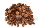 5883-Kleine-Fichtenzapfen-in-Natur--ca--2-4cm--180-g--ca--80-100-Stk----picea-asperata.jpg