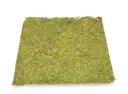 5884-Moosplatte--Quadratisch--Groesse-ca--38-x-38cm---Moosbild-selber-machen-_2.jpg