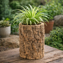 5886-Blumentopf-aus-echter-Korkrinde-35cm-Natur-uebertopf-nachhaltig-Terrarium-Deko_2.png