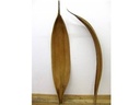 5888-Kokosblatt-Galara-Gross--Giants--in-Natur--Laenge-ab-140cm.jpg