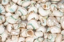 5889-Turbo-sparverius--geschliffen--0-5kg--ca--2-4cm--ca--100-150-Stk----Gerippte-Turbanschnecke-_2.jpg