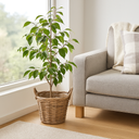 5901-Rattan-Pflanzkorb-mit-Folie-und-Henkeln-----6-Groessen-waehlbar-----Naturkorb-als-uebertopf--Gartenkorb--Kaminholzkorb-und-Dekokorb-----Rund-und-Handgefertigt_2.png