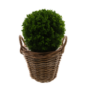 5901-Rattan-Pflanzkorb-mit-Folie-und-Henkeln-----6-Groessen-waehlbar-----Naturkorb-als-uebertopf--Gartenkorb--Kaminholzkorb-und-Dekokorb-----Rund-und-Handgefertigt_7.png