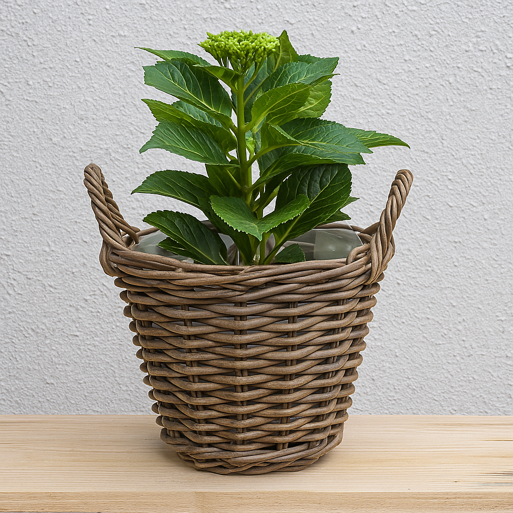 5901-Rattan-Pflanzkorb-mit-Folie-und-Henkeln-----6-Groessen-waehlbar-----Naturkorb-als-uebertopf--Gartenkorb--Kaminholzkorb-und-Dekokorb-----Rund-und-Handgefertigt_8.png