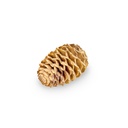 5903-Leucadendron-sabulosum-Zapfen-0-5kg--ca--50---70-Stueck--Naturdeko-aus-Suedafrika---Trockenblumen-fuer-Boho-Hochzeit--Trauerfloristik--DIY-Basteln--rustikale-Tischdeko-und-florale-D_3.jpg