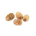 5903-Leucadendron-sabulosum-Zapfen-0-5kg--ca--50---70-Stueck--Naturdeko-aus-Suedafrika---Trockenblumen-fuer-Boho-Hochzeit--Trauerfloristik--DIY-Basteln--rustikale-Tischdeko-und-florale-D_4.jpg