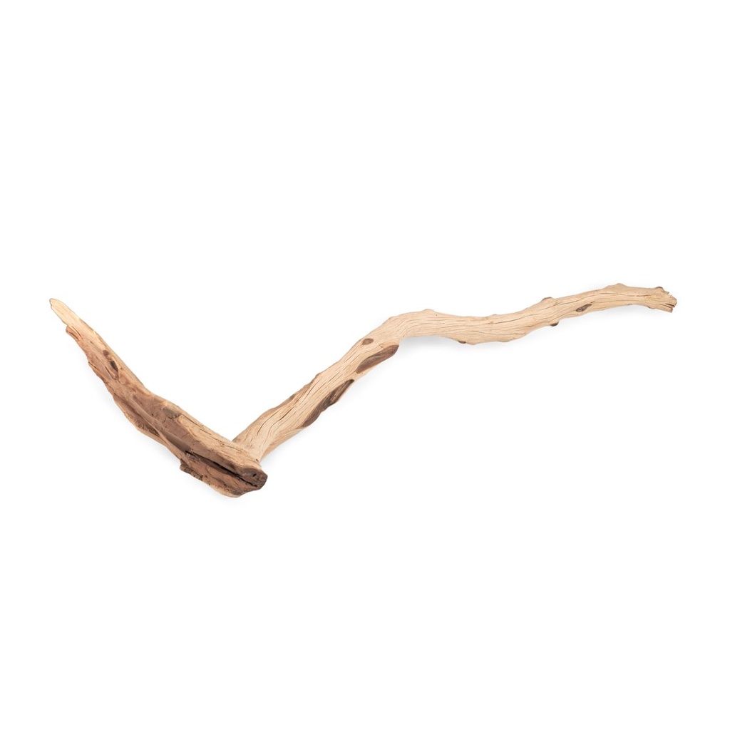 5922-Ghostwood-Zweige--sandgestrahlt--Laenge-100---120-cm---Sandgestrahlter-Naturzweig---Dekozweig---Grosses-Treibholz---Dekoast---Dekoholz---Dekobaum_1.jpg