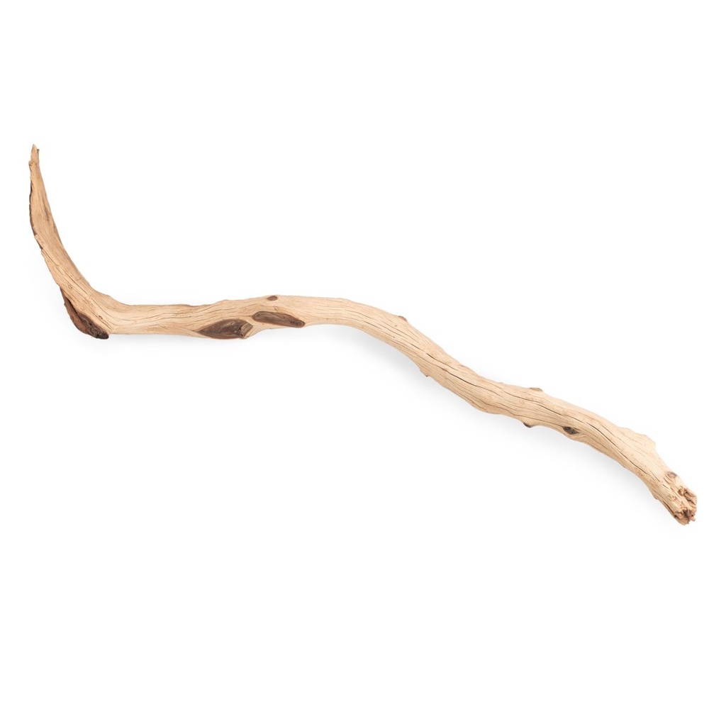 5922-Ghostwood-Zweige--sandgestrahlt--Laenge-100---120-cm---Sandgestrahlter-Naturzweig---Dekozweig---Grosses-Treibholz---Dekoast---Dekoholz---Dekobaum_2.jpg