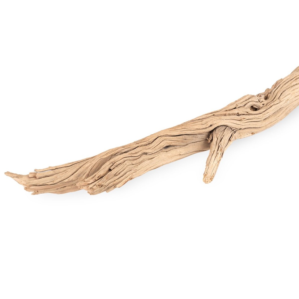 5922-Ghostwood-Zweige--sandgestrahlt--Laenge-100---120-cm---Sandgestrahlter-Naturzweig---Dekozweig---Grosses-Treibholz---Dekoast---Dekoholz---Dekobaum_4.jpg