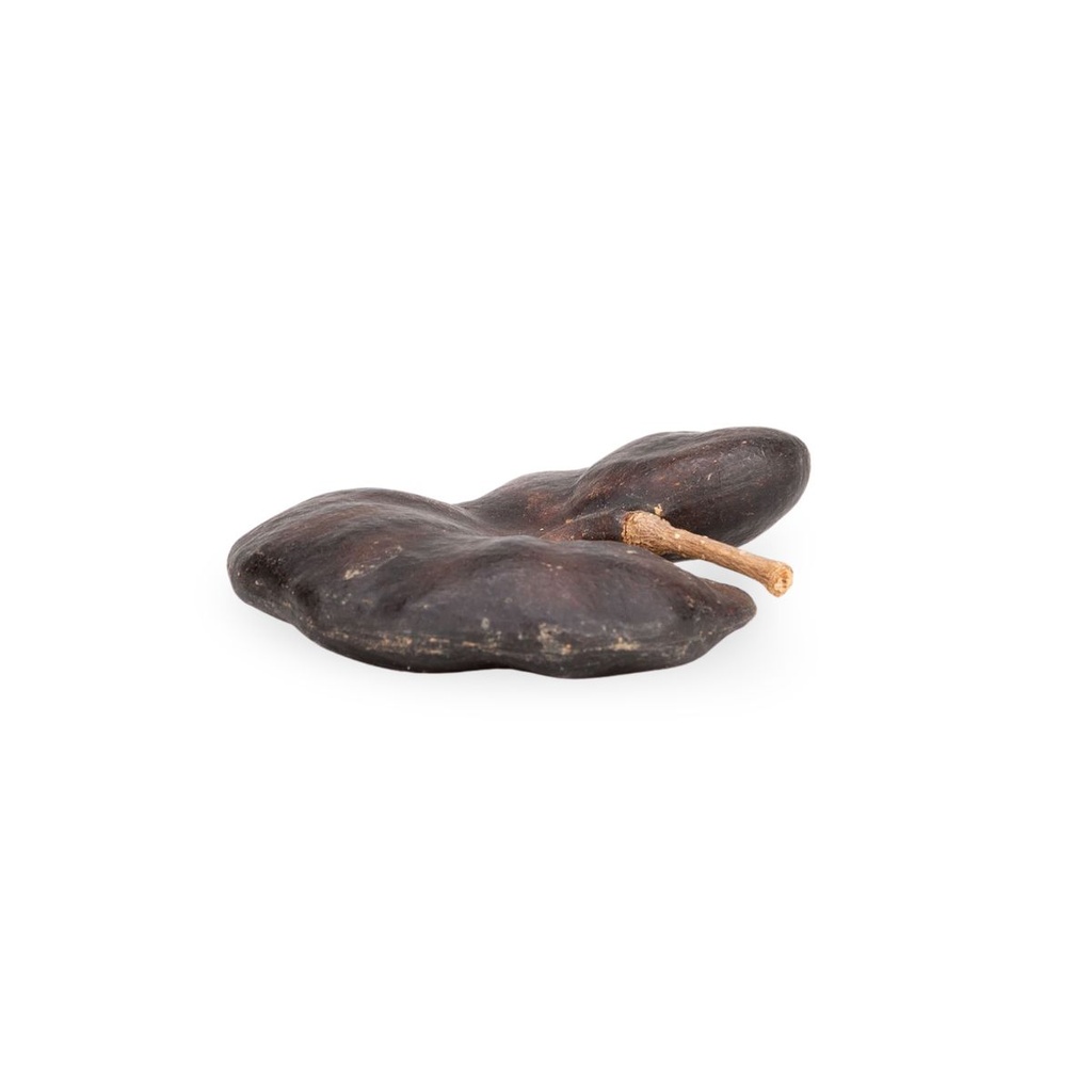 5924-Affenohr-Schote-6-9-cm-Enterolobium-contortisiliquum-Trockenfrucht-Brasilien.jpg