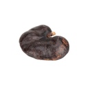5924-Affenohr-Schote-6-9-cm-Enterolobium-contortisiliquum-Trockenfrucht-Brasilien_2.jpg