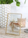 Glasrahmen für Trockenblumen und Bilder  2