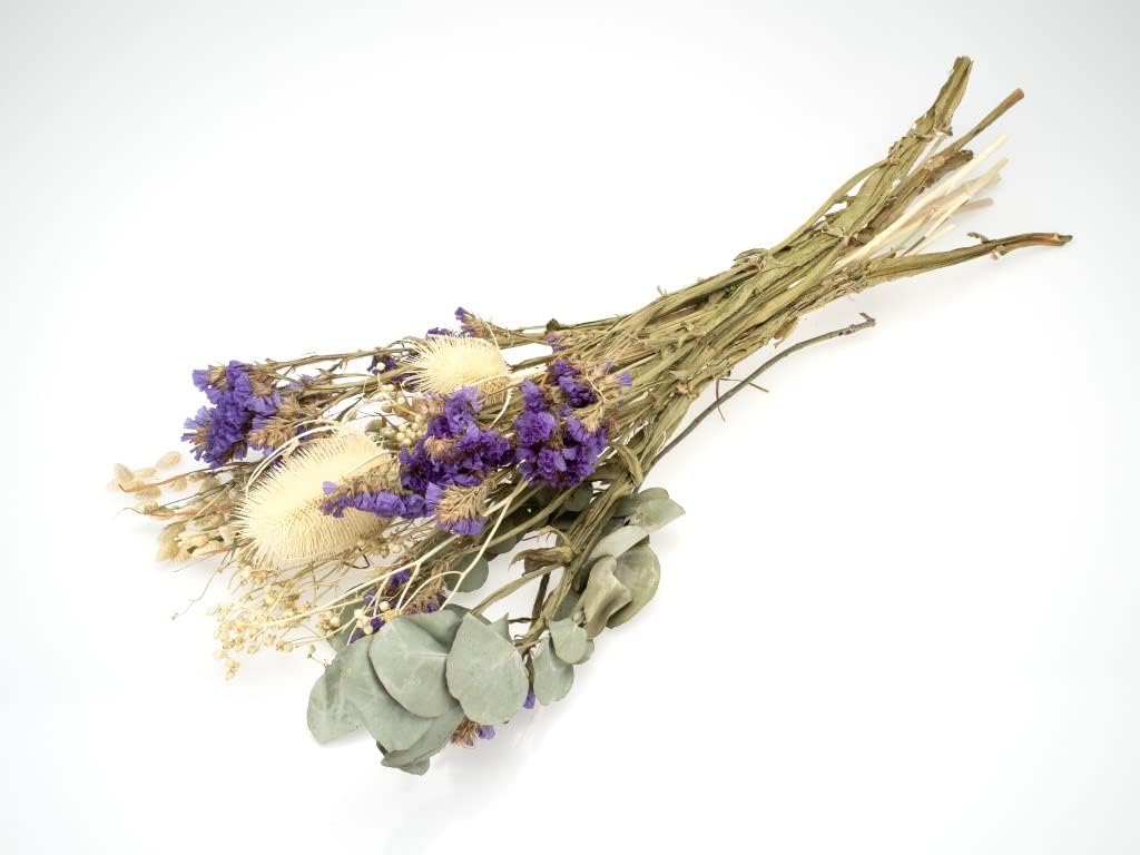 Trockenblumenstrauß "Dipsacus", Größe ca 2