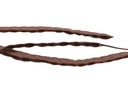 Deko Bohnen-Schote Natur, Länge 20-25 cm 2