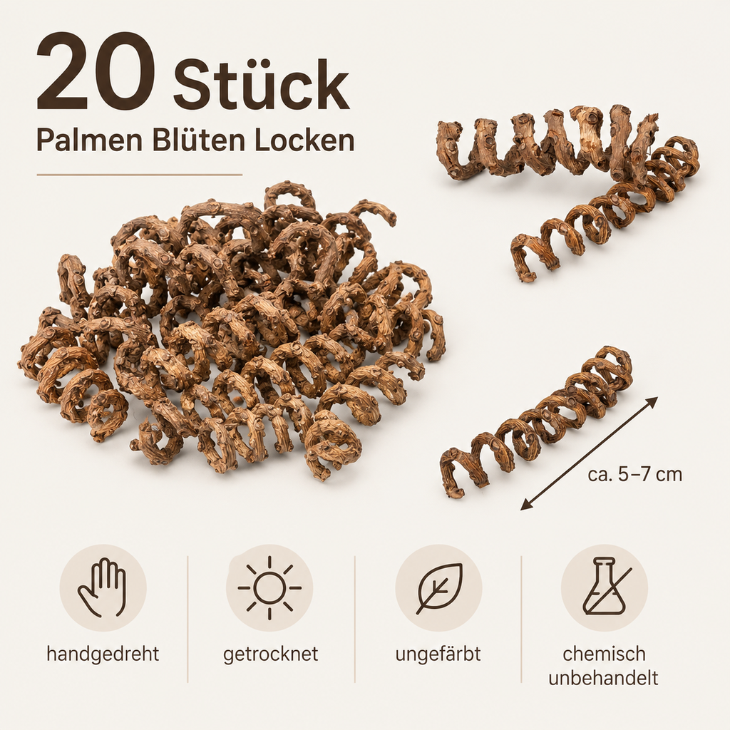 Palmen Blüten Locken 20 Stk. 5–7 cm Natu 2