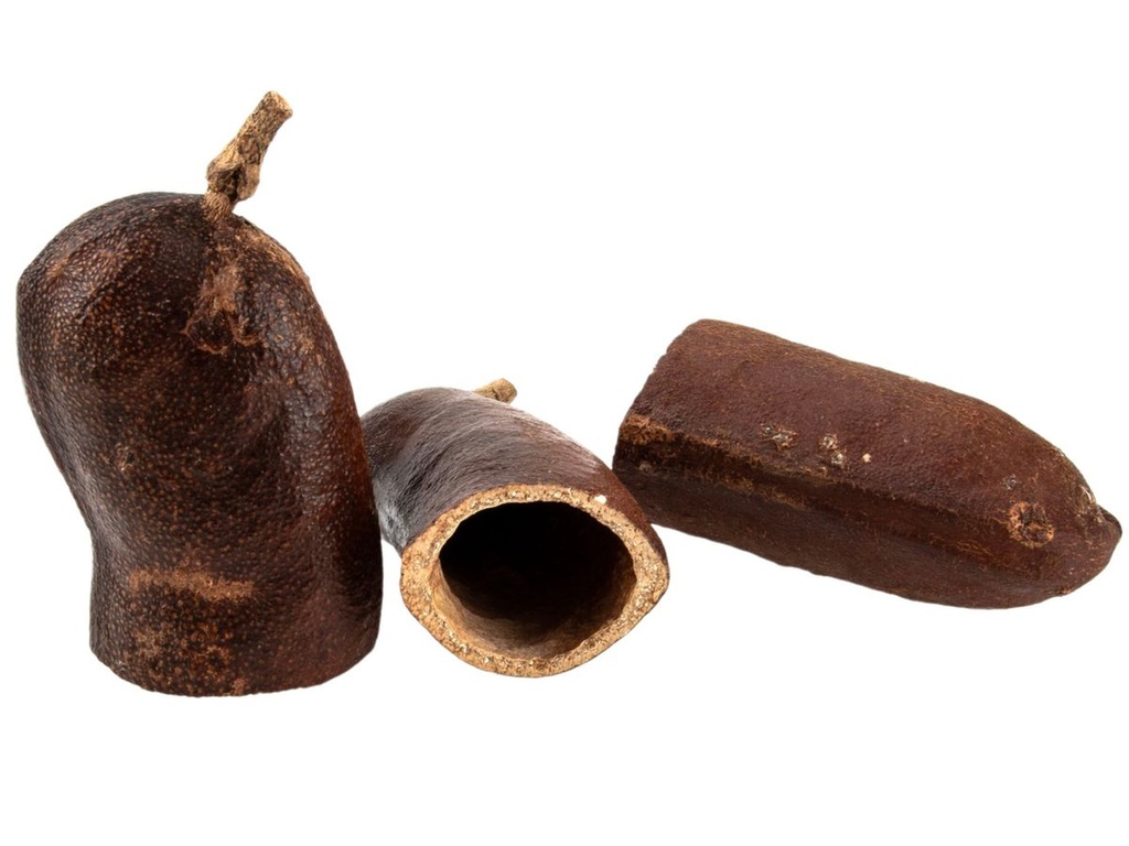 Courbaril Schote geöffnet, Größe ca. 8-1 2