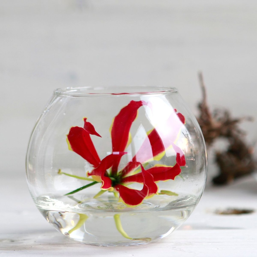 Kugelglas im Durchmesser 6, 8, 10 und 12 2