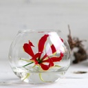 Kugelglas im Durchmesser 6, 8, 10 und 12 2